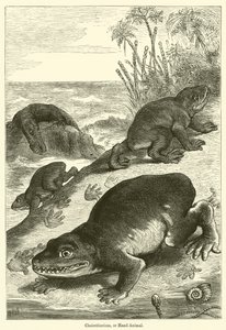 Cheirotherium, o animal de mano de English School