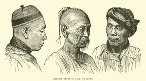 Tipos de rostro chinos, Swatow de English School