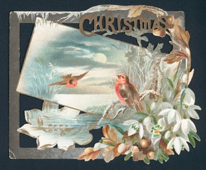 Tarjeta de Navidad con dos petirrojos
