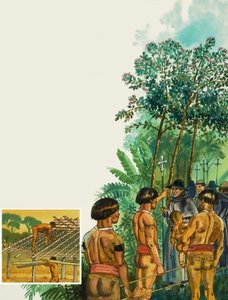 Árbol de la quina