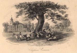 Clapham Common, Surrey de English School