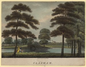 Clapham, Surrey
