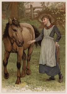 Clever Dobbin (cromolito)