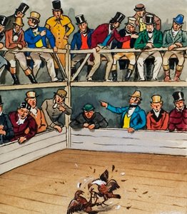 Pelea de gallos