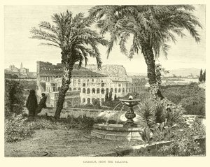 Coliseo, desde el Palatino