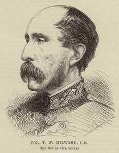 Coronel T W Milward, CB (grabado) de English School