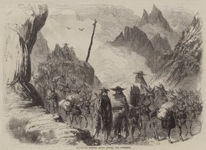 Transportando vinos españoles a través de los Pirineos de English School