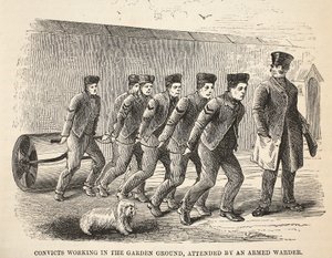 Convictos trabajando en el jardín, atendidos por un celador armado, ilustración de Las prisiones criminales de Londres y escenas de la vida en prisión de Henry Mayhew y John Binny, pub. 1862 de English School
