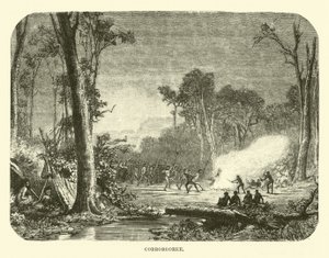 Corroboree de English School