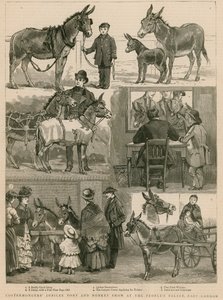 Exhibición de Ponis y Burros del Jubileo de Costermongers en el Peoples Palace, East London