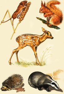Montaje de animales del campo