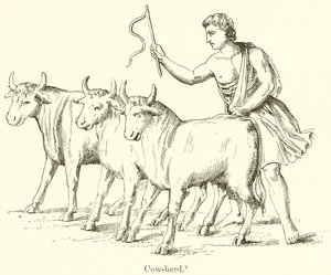 Pastor de Vacas