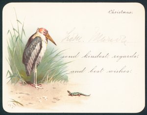 Grulla y lagarto, tarjeta de Navidad de English School