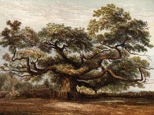 Roble Crouch, Addlestone de English School