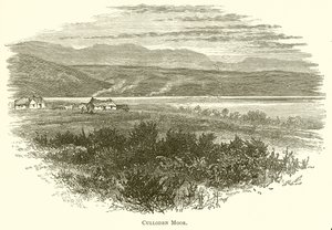 Moor de Culloden