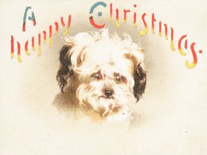 ¡Perro Lindo! Tarjeta de Navidad
