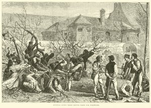 Cortando árboles alrededor de París para leña, octubre de 1870 de English School