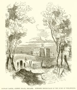 Castillo de Dangan, Condado de Meath, Irlanda. Supuesto lugar de nacimiento del Duque de Wellington de English School