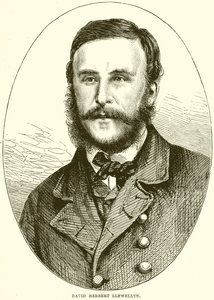 David Herbert Llewellyn de English School
