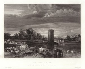 Parque De Tabley