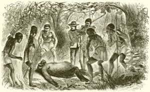 Muerte del primer gorila de Du Chaillu