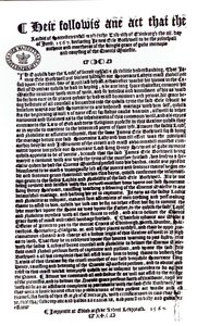 Declaración de los Lores indicando al Conde de Bothwell como el asesino de Lord Darnley, 1567 de English School