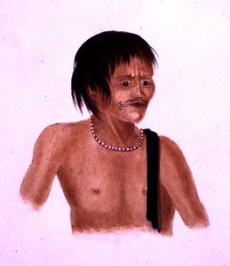 Demerara
