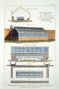 Diseño para un Acuario, ejecutado para el Marqués de Blandford en Whiteknights, 1806 de English School
