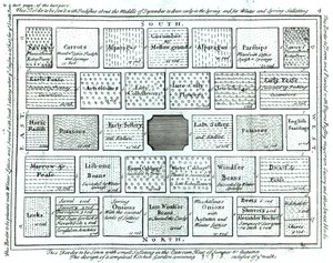 Diseño para un jardín de cocina completo, de New Principles of Gardening, por Betty Langley, 1726