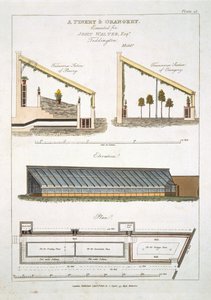 Diseño para una Piñera y Naranjal en Teddington, 1806