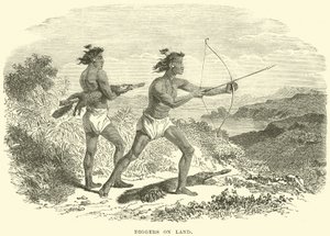 Excavadores en tierra