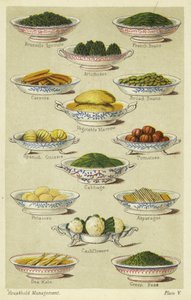 Platos de verduras de English School