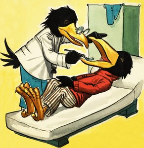 Doctor cuervo