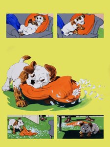 Perro masticando almohada