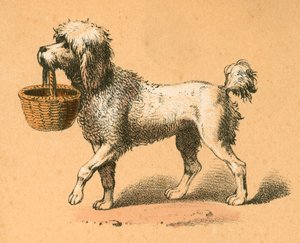 Perro con cesta de English School