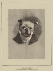 Perros de la corporación (grabado)