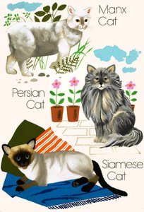 Gatos domésticos