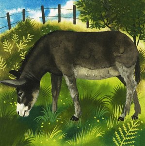 Burro de English School