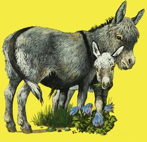 Burro y cría de burro de English School