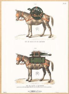 Burros con monturas