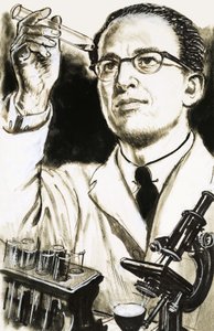 Dr. Jonas Salk, creador de la vacuna contra la polio, observa un tubo de ensayo de English School