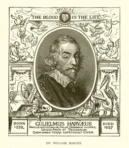 Dr. William Harvey de English School