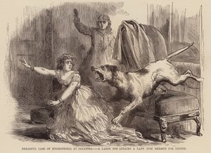 Espantoso caso de hidrofobia en Saratoga, un gran perro ataca a una dama recién vestida para cenar (grabado). de English School