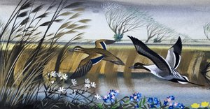 Patos en vuelo