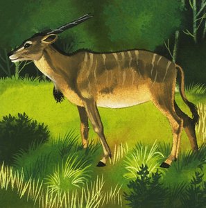 Antílope eland de English School