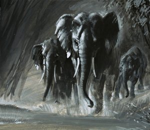 Elefantes