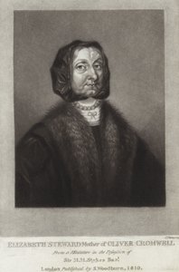 Elizabeth Steward de English School