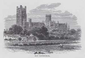 Catedral de Ely de English School