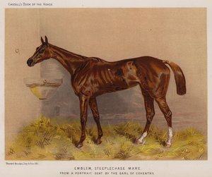 Emblema, yegua de steeplechase