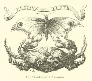 Emperador Augusto de English School